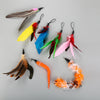 Funny Cat Feather Wand Toy Set – Interactive Fishing Rod Play for Cats